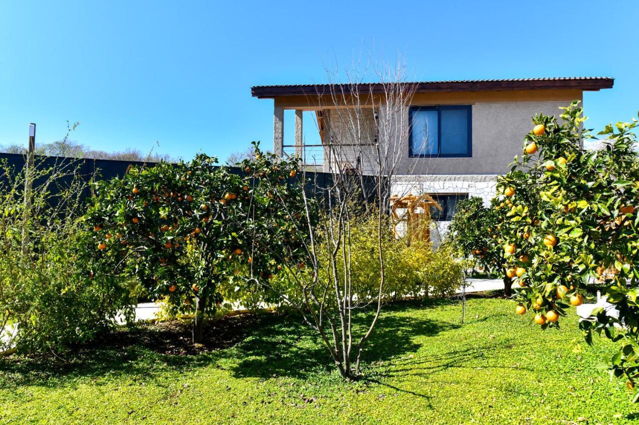 Volans Suites Villas Fethiye Luaran gambar